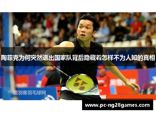 陶菲克为何突然退出国家队背后隐藏着怎样不为人知的真相