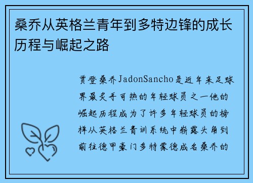 桑乔从英格兰青年到多特边锋的成长历程与崛起之路